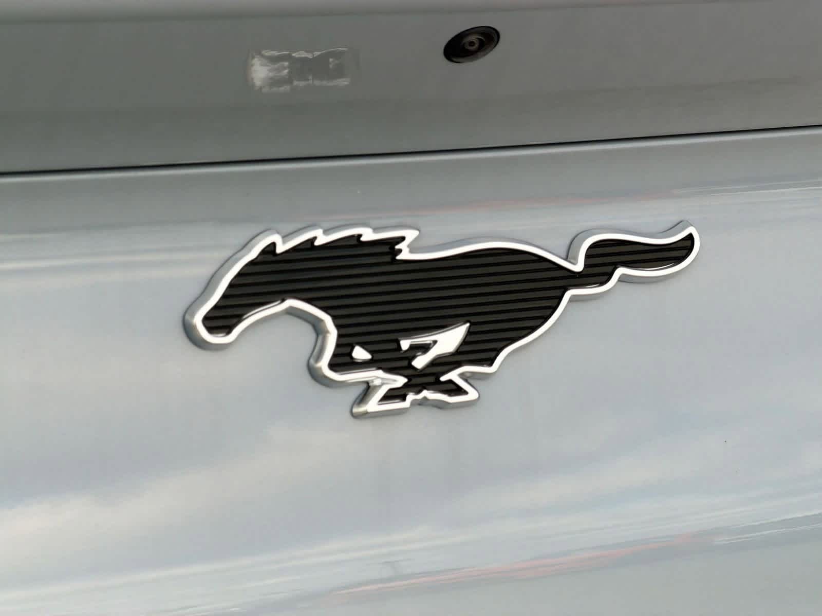 Thumbnail: 2025 Ford Mustang Mach-E - 13