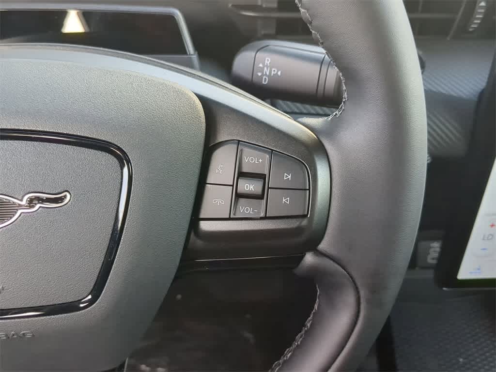 2025 Ford Mustang Mach-E Premium 24