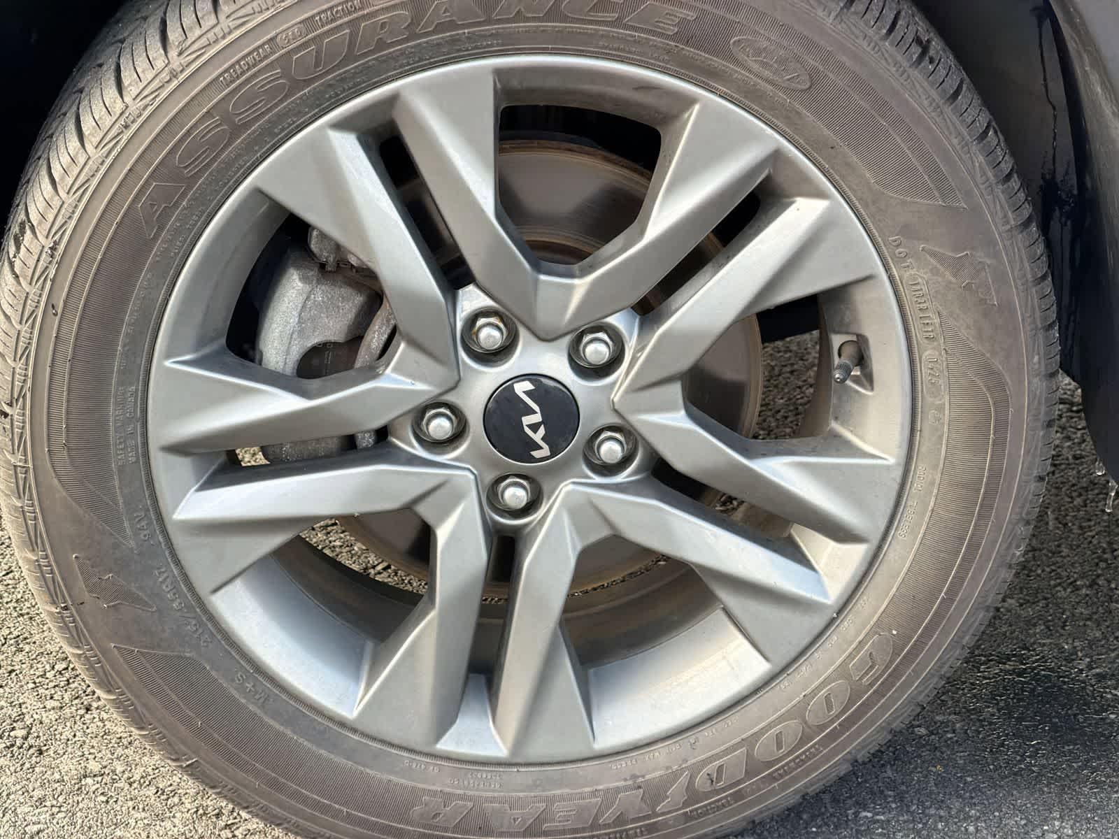 Thumbnail: 2022 Kia Seltos - 14