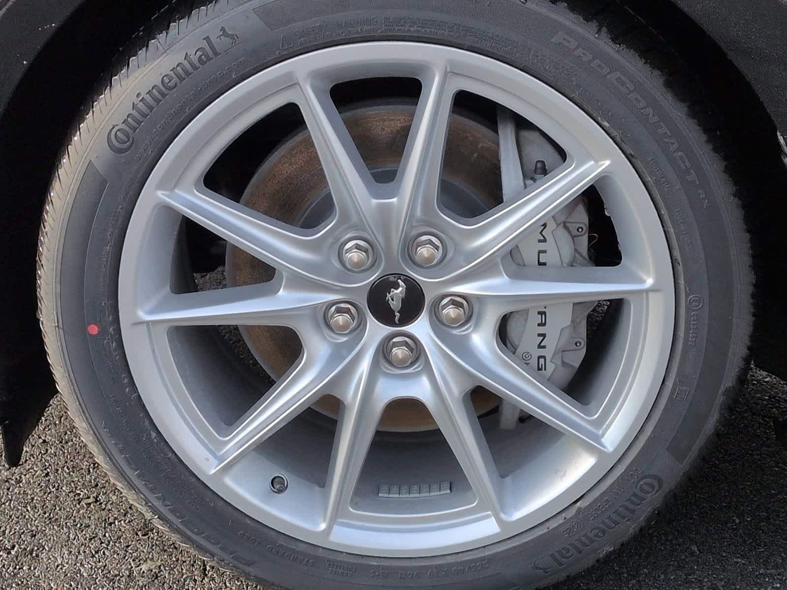 Thumbnail: 2026 Ford Mustang - 14