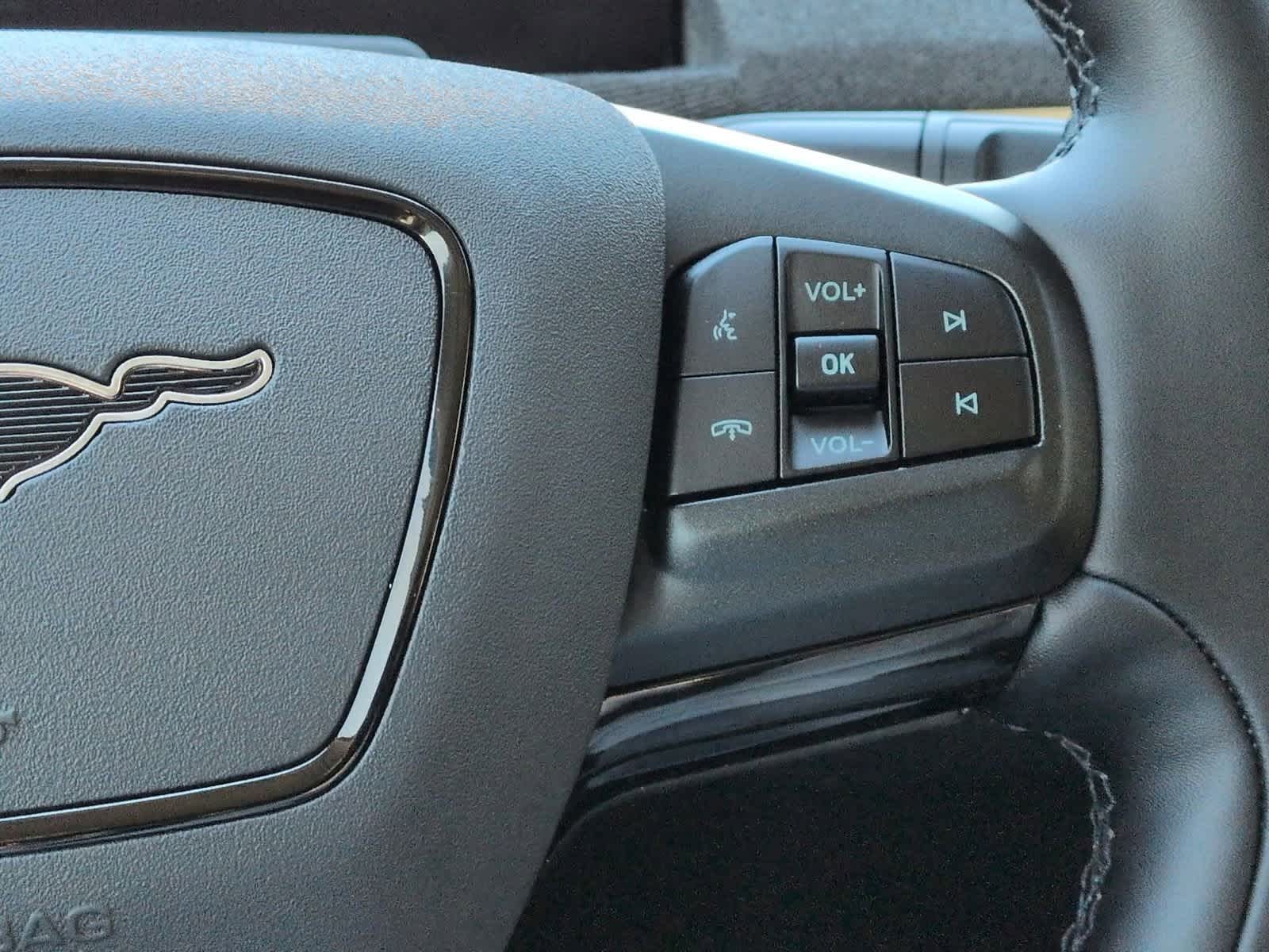 Thumbnail: 2025 Ford Mustang Mach-E - 25