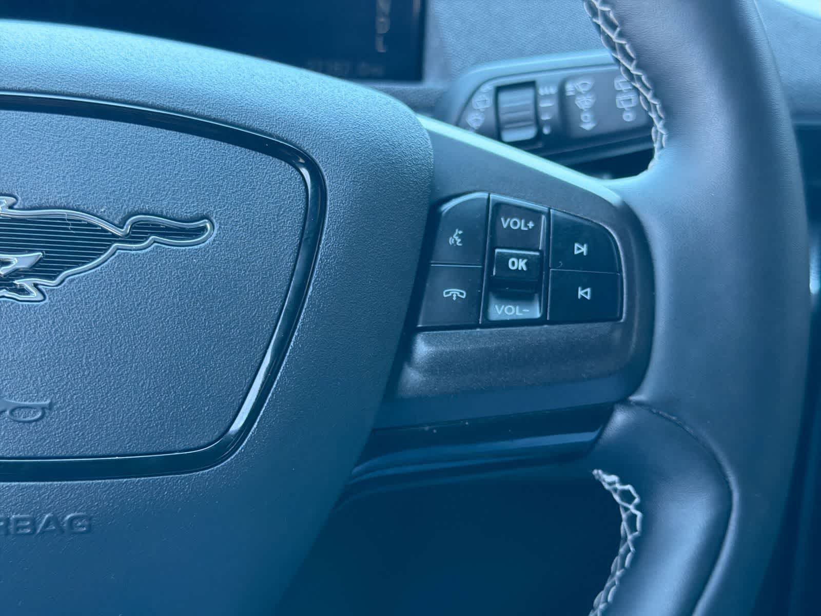 Thumbnail: 2021 Ford Mustang Mach-E - 25