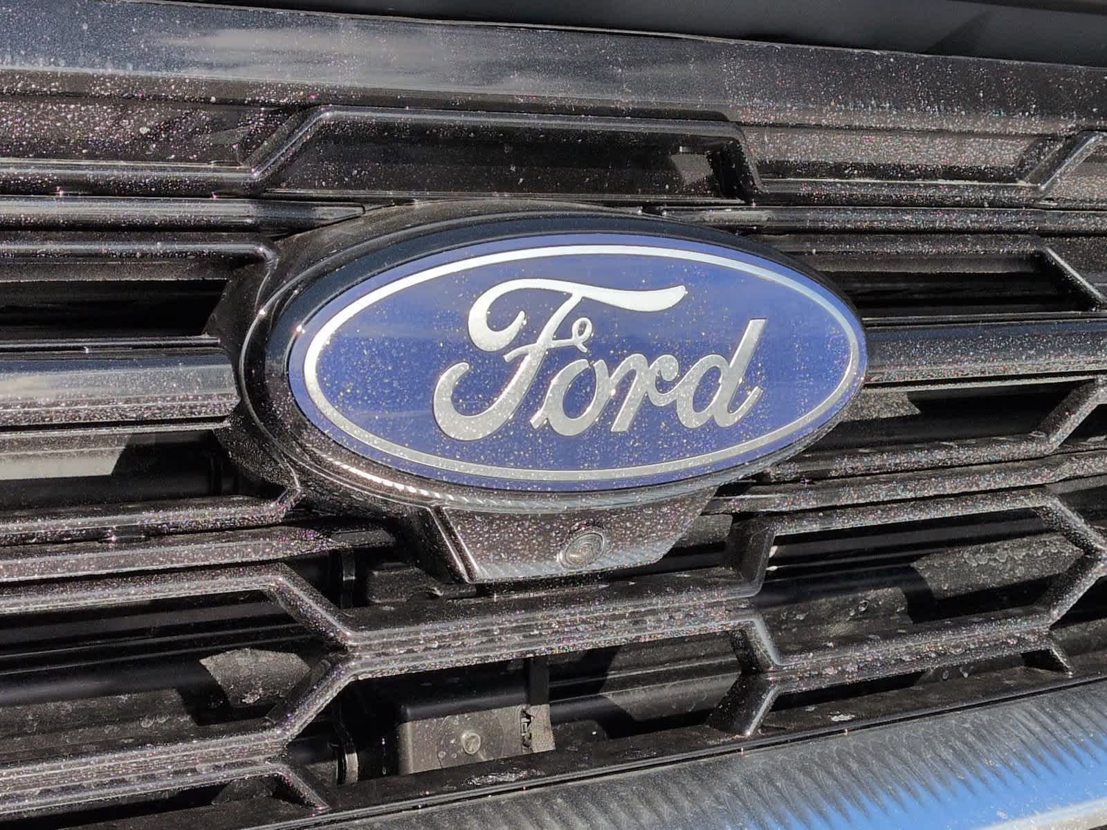 Thumbnail: 2025 Ford Expedition - 12