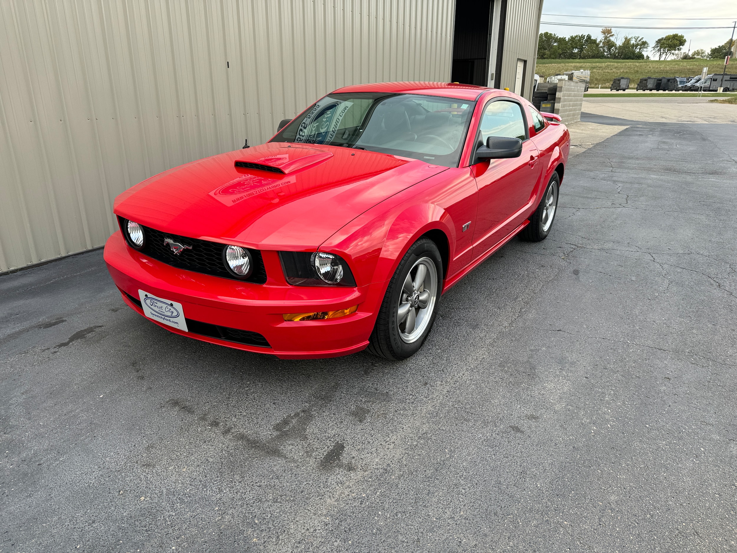 Used 2006 Ford Mustang GT Premium with VIN 1ZVHT82H665265204 for sale in Forest City, IA