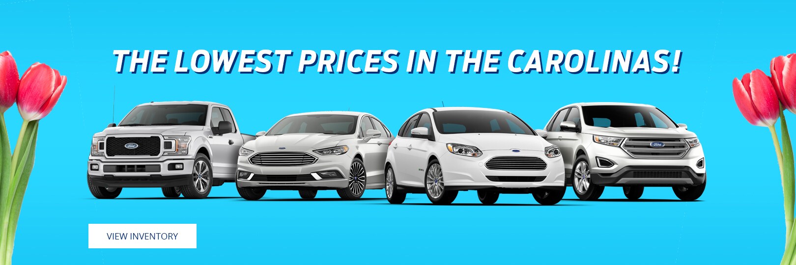Fort Mill Ford Dealer New Ford & Used Cars Near Charlotte