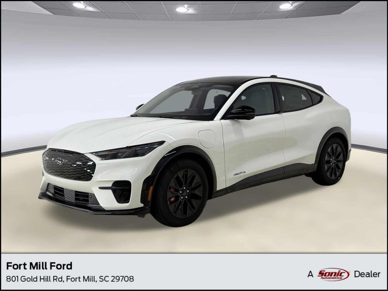 2025 Ford Mustang Mach-E Premium AWD's photo