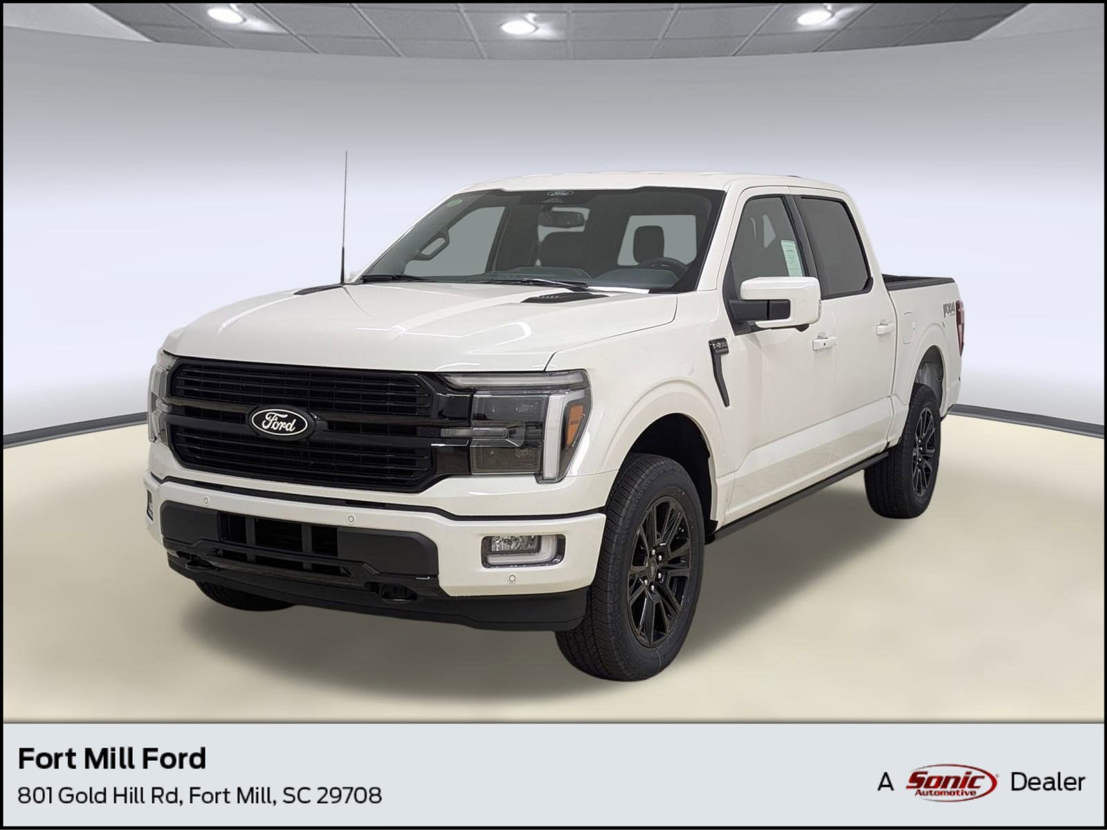 2025 Ford F-150 Platinum's photo