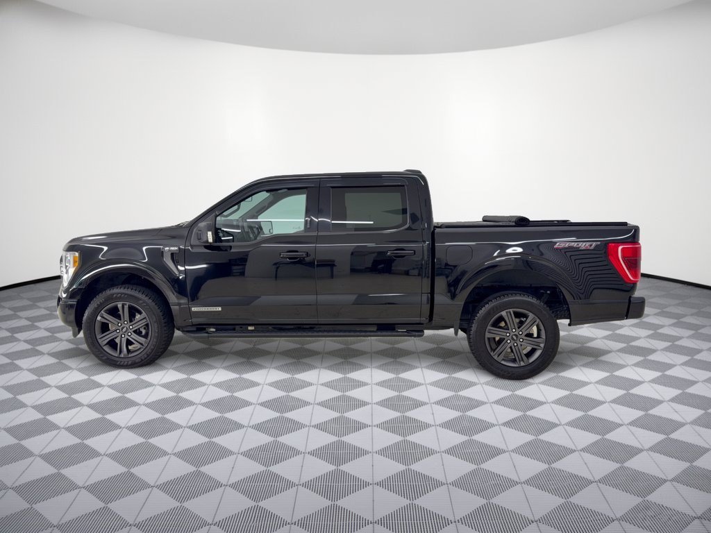 Used 2023 Ford F-150 XLT Truck SuperCrew Cab