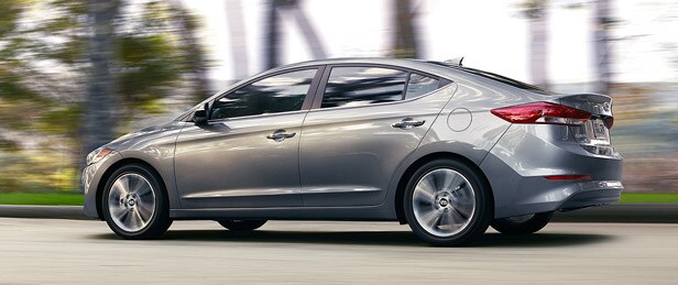 2016 Elantra Families