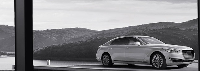 Welcome to the new Genesis Genesis Family