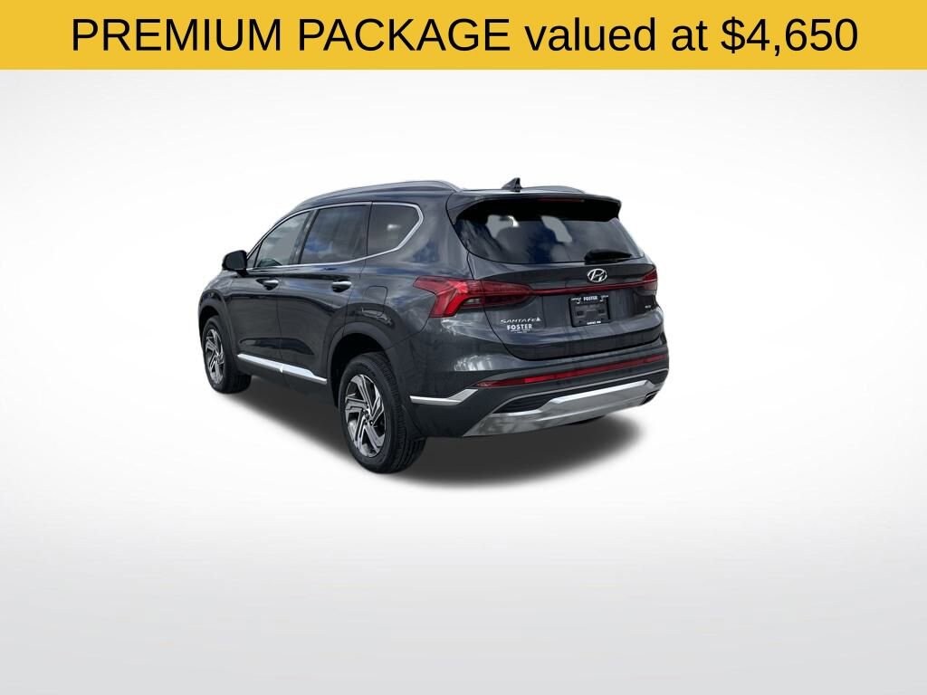 2023 Hyundai Santa Fe SEL Premium photo 3