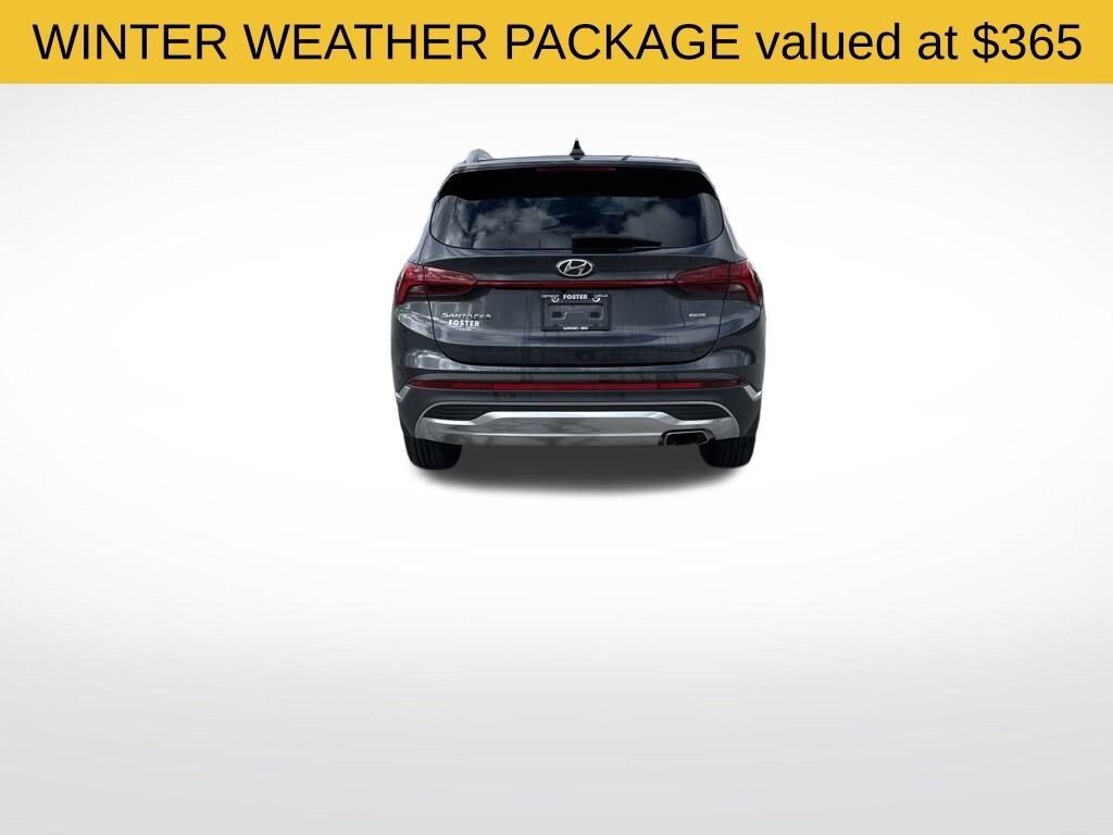 2023 Hyundai Santa Fe SEL Premium photo 4
