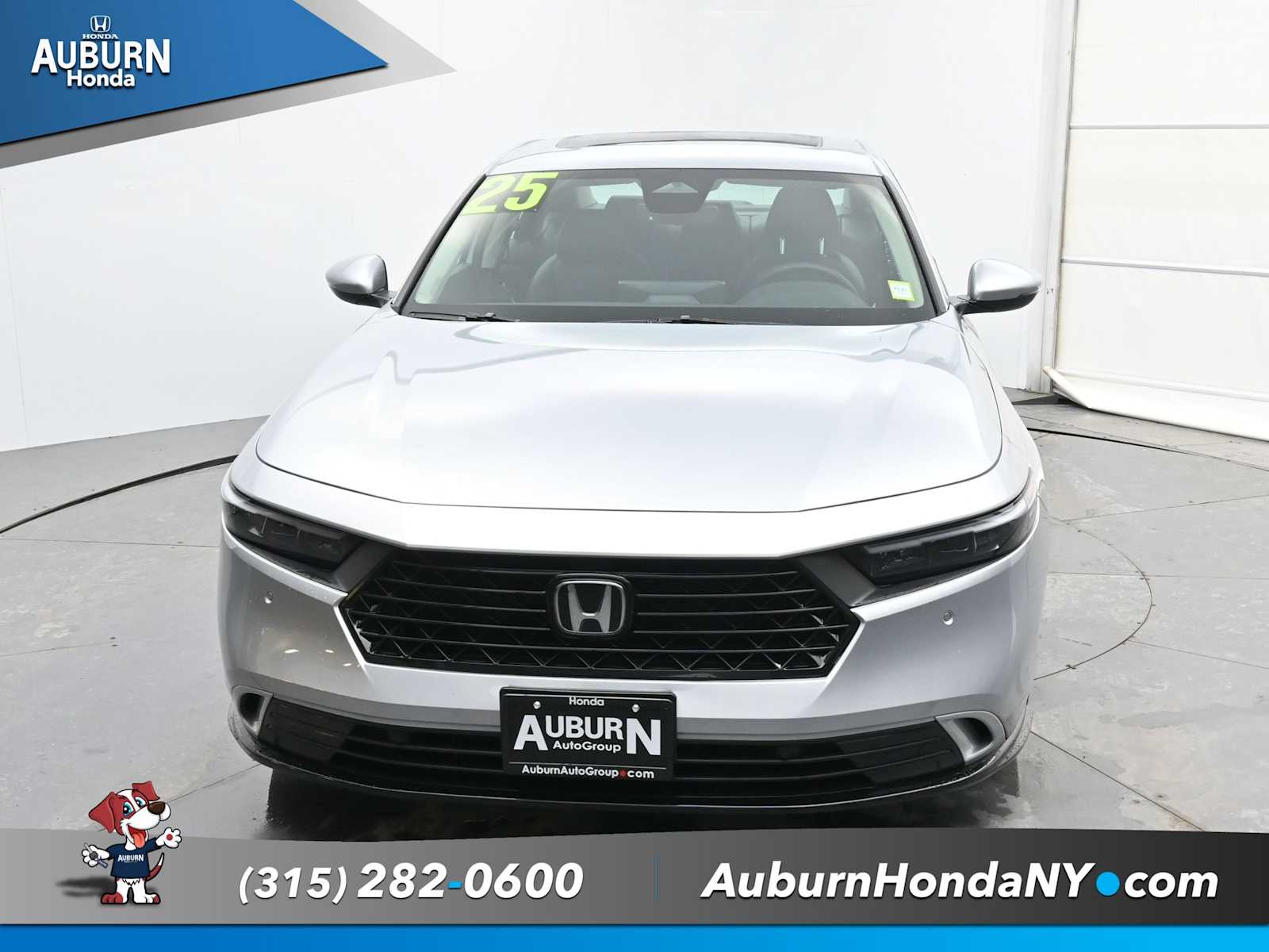 CarFax 1 Owner Inventory | Auburn Auto Group