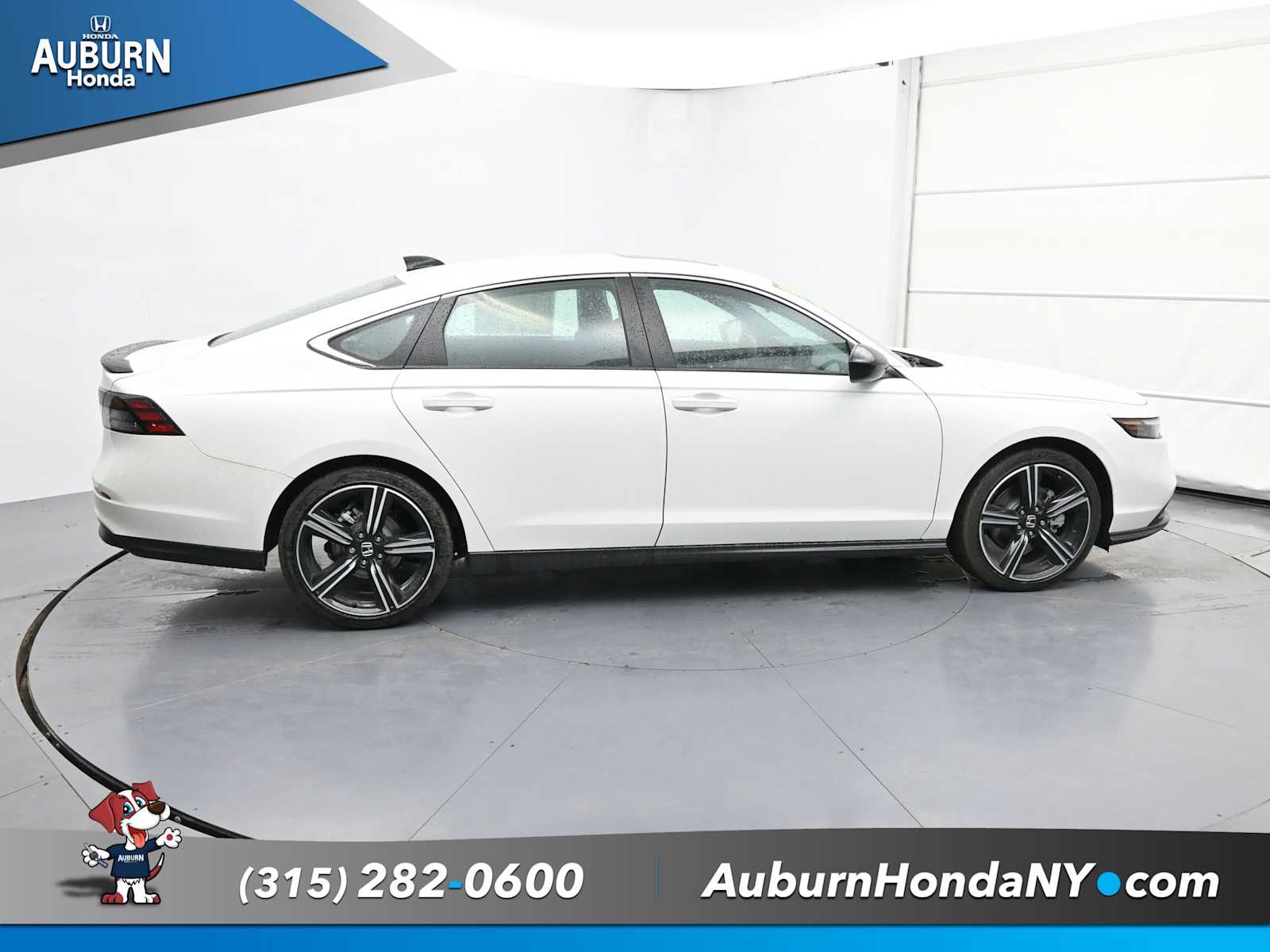 2025 Honda Accord Hybrid Sport photo 4