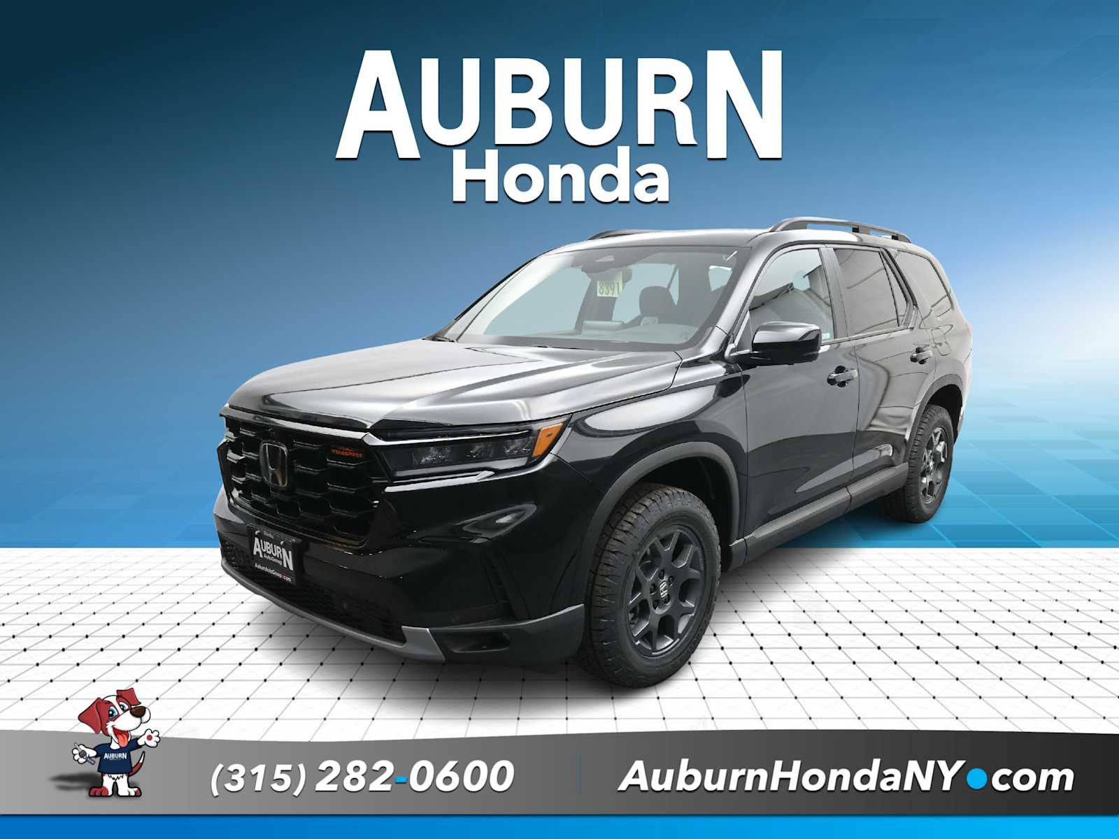 2025 Honda Pilot TrailSport's photo