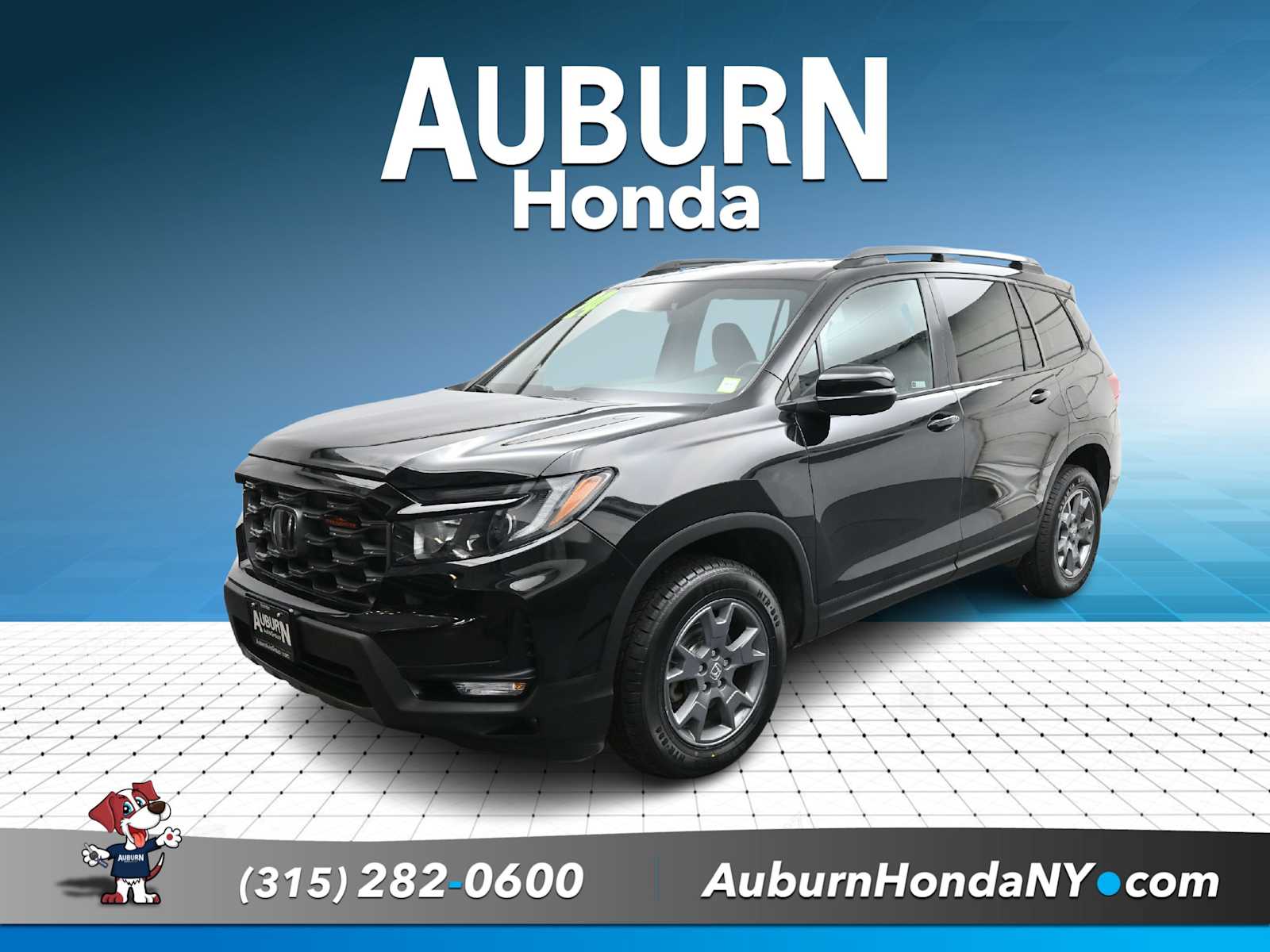  Honda Passport