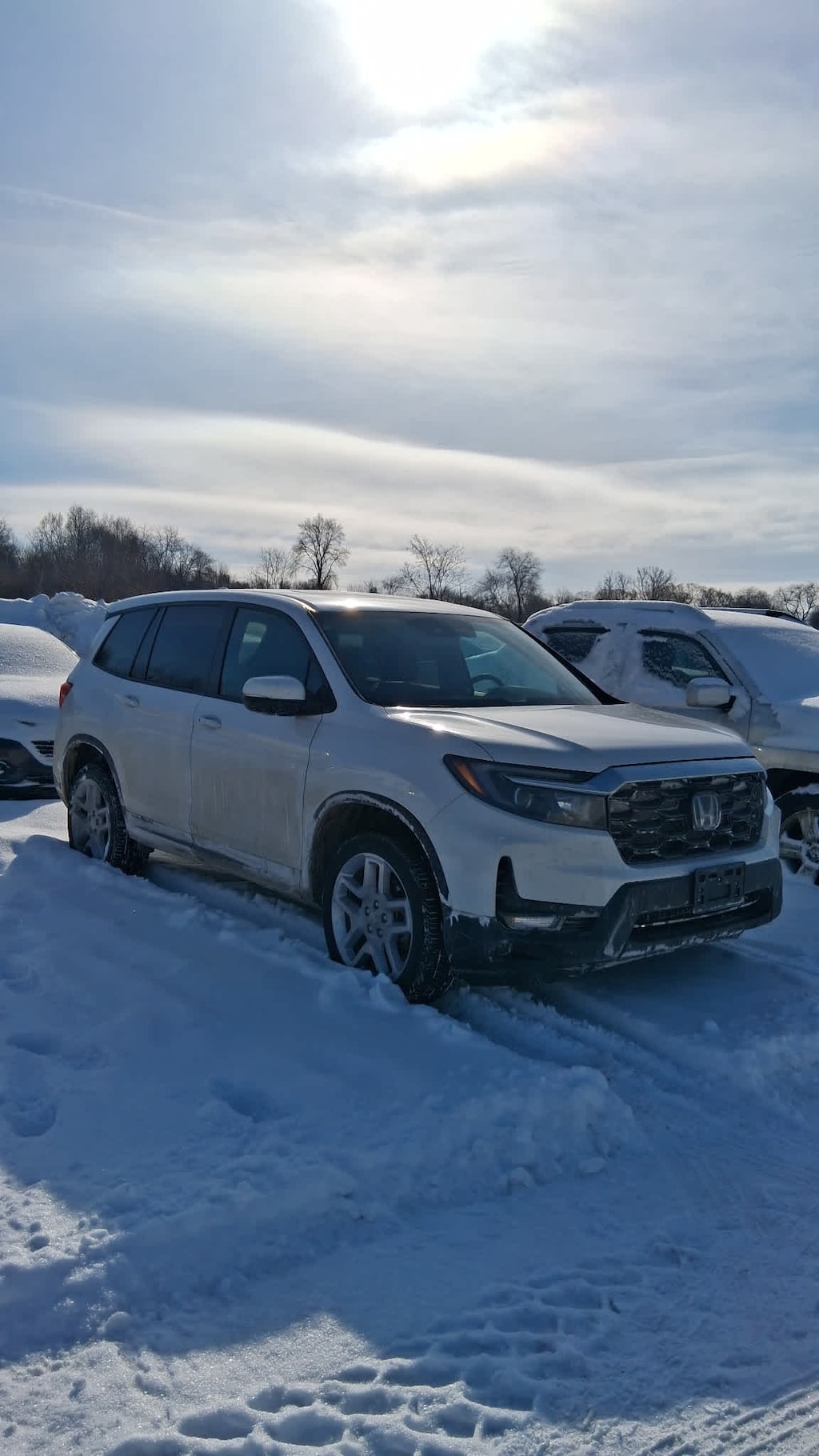 Used 2024 Honda Passport EX-L SUV