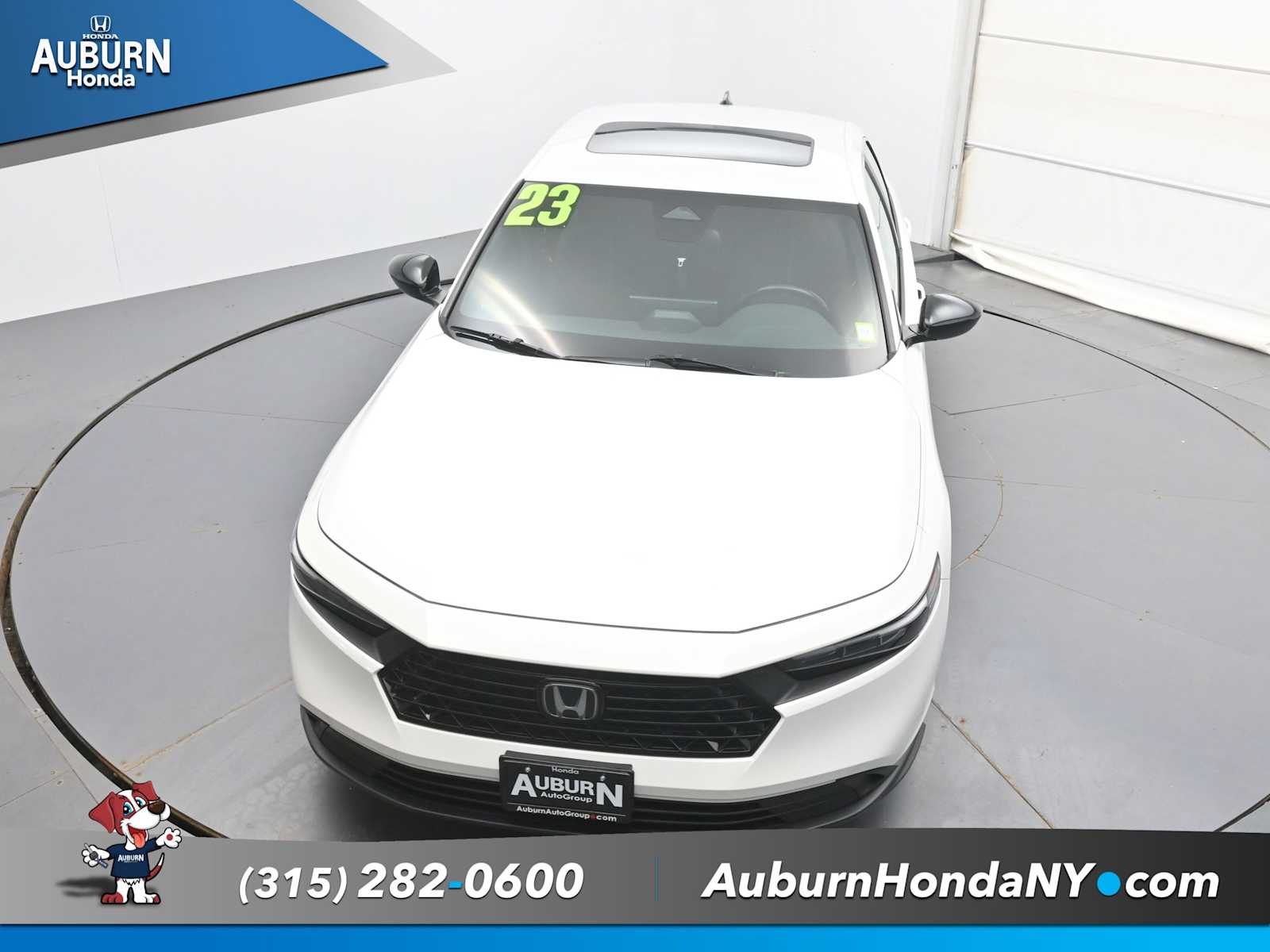 Photo 26