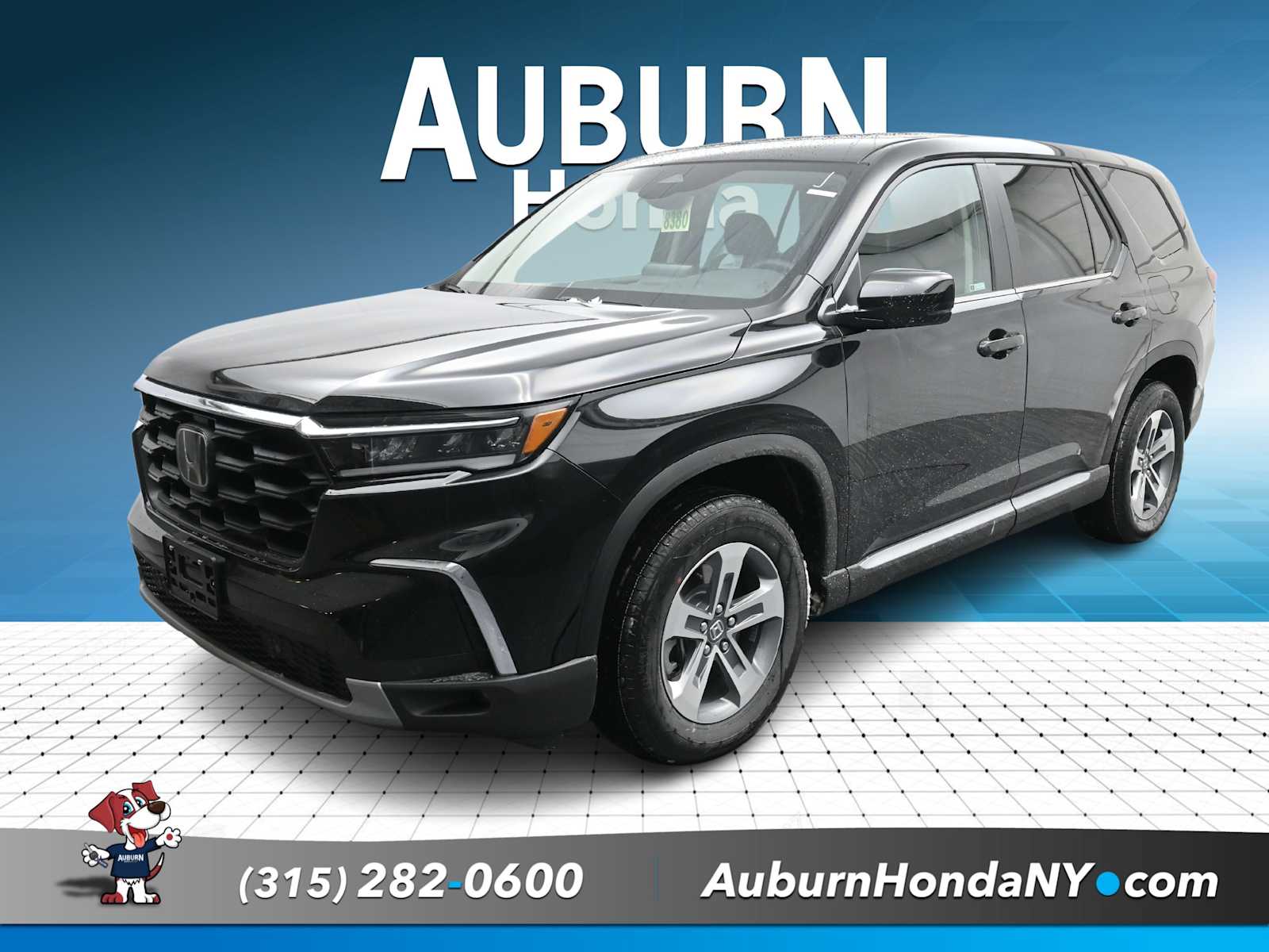 2025 Honda Pilot EX-L's photo