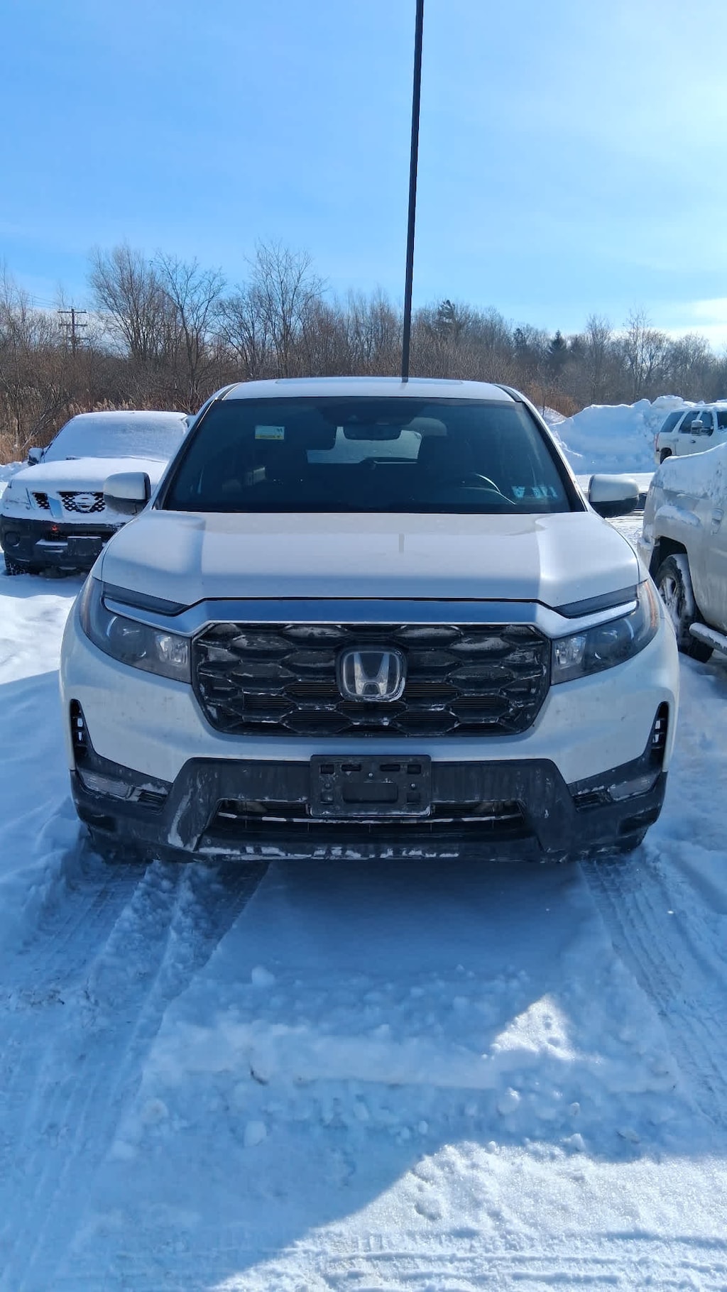Used 2024 Honda Passport EX-L SUV