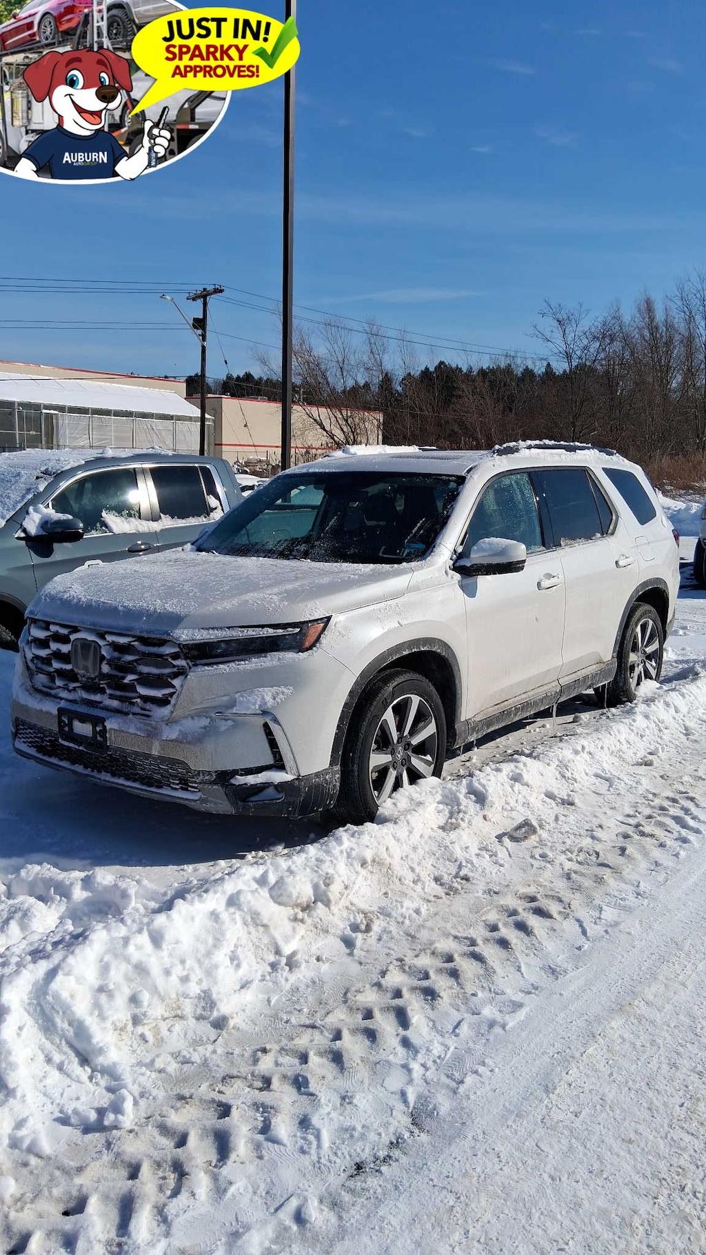 Used 2024 Honda Pilot Touring SUV