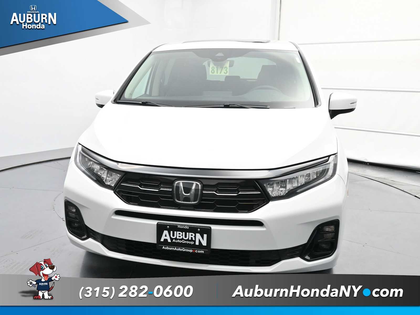 2026 Honda Odyssey Elite photo 3