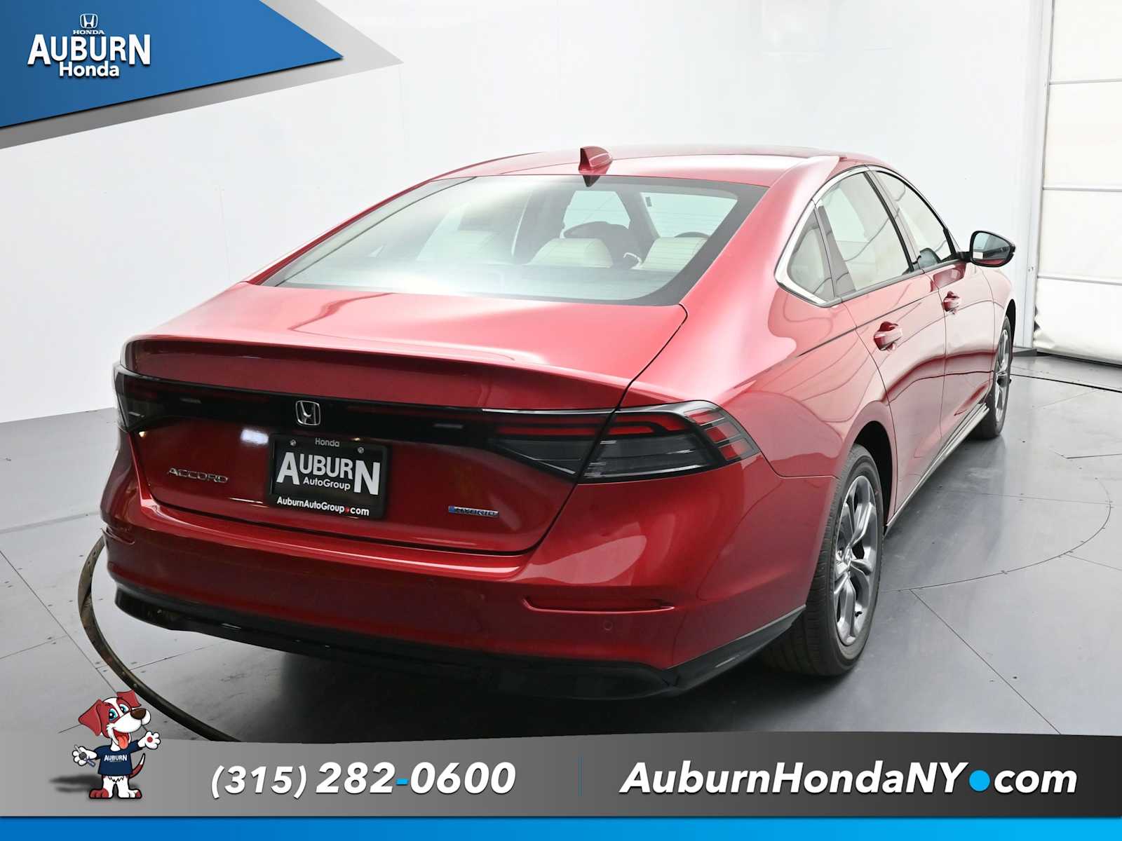 2025 Honda Accord Hybrid EX-L photo 3