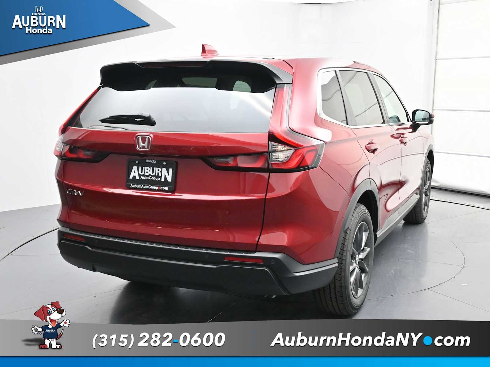 2026 Honda CR-V EX-L photo 4