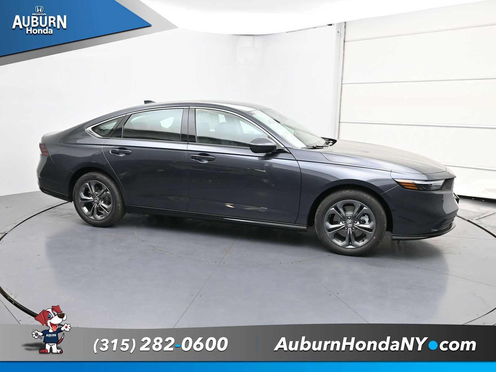 2025 Honda Accord Hybrid EX-L - Photo 14