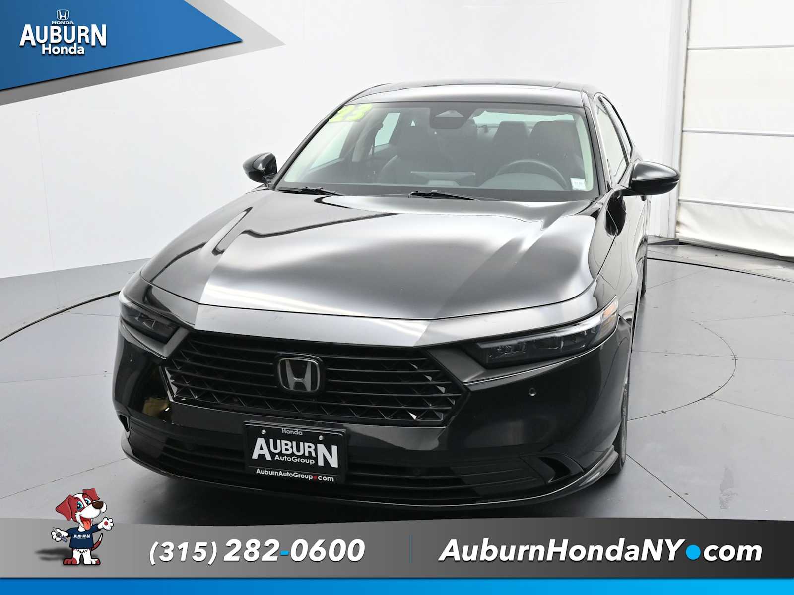 2023 Honda Accord Hybrid EX-L photo 3