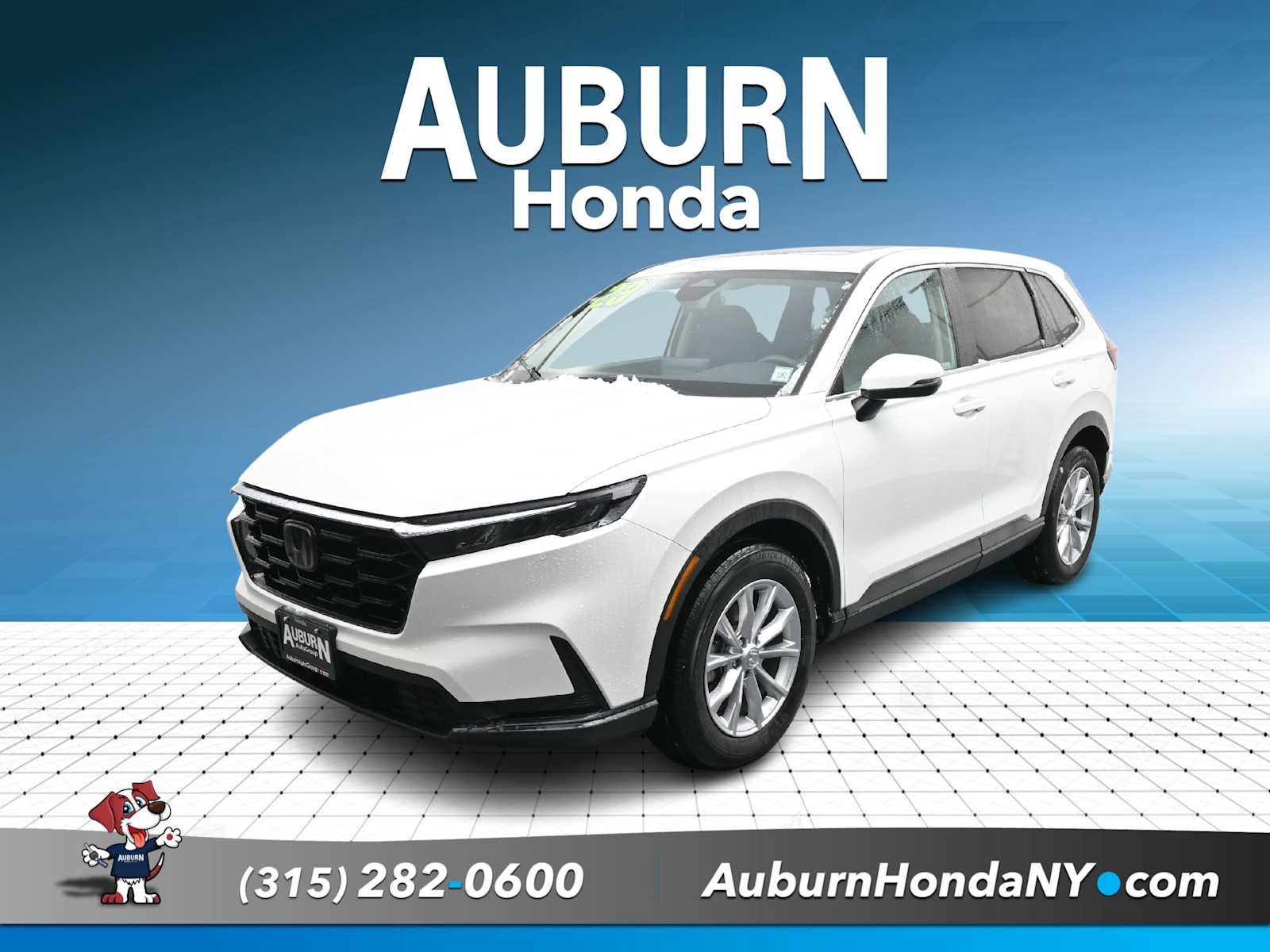 2023 Honda CR-V EX's photo