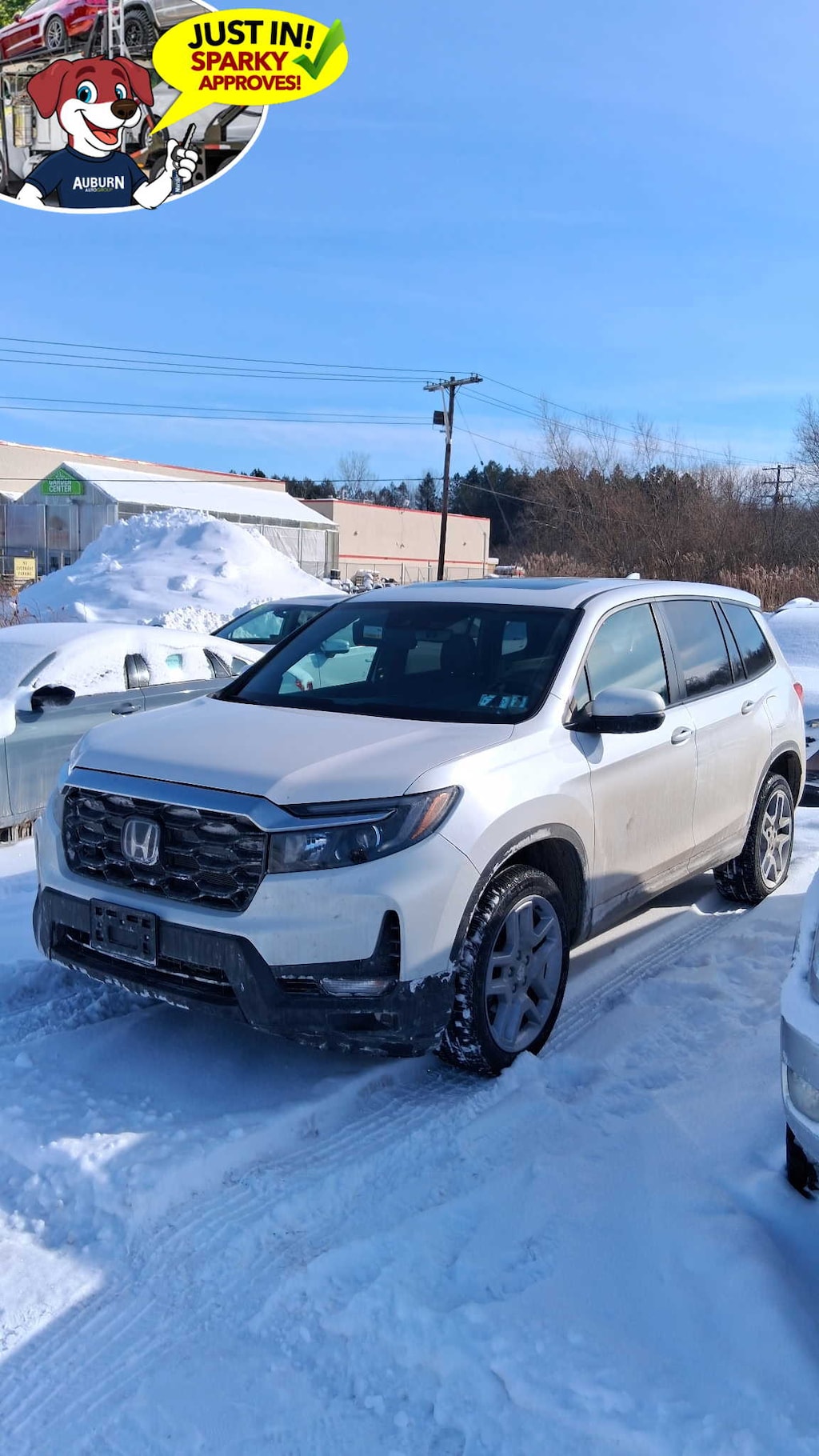 Used 2024 Honda Passport EX-L SUV