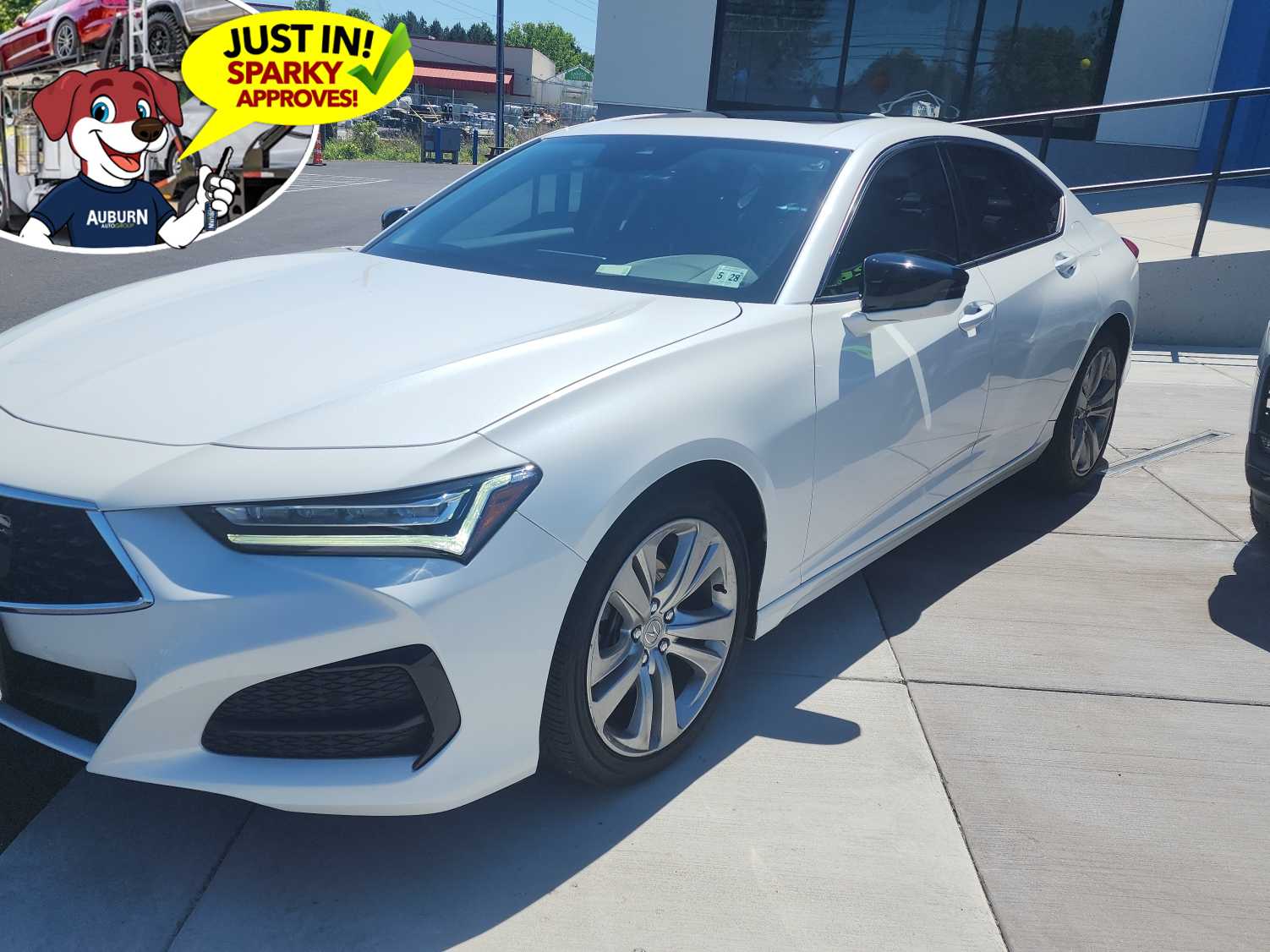 2023 Acura TLX 2.0 Auto Technology Package's photo