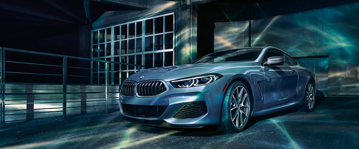 2019 BMW 8 Series in Traverse City