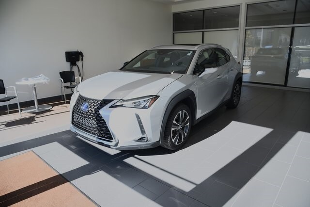 2019 Lexus UX 250h photo 2
