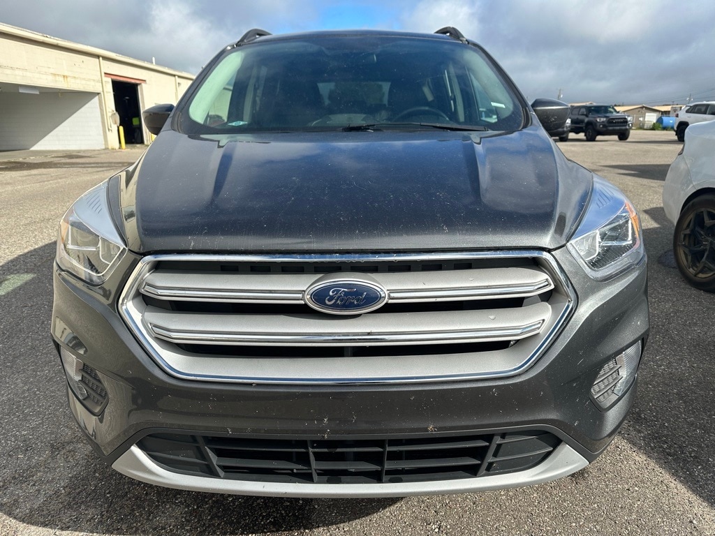 Used 2019 Ford Escape SEL with VIN 1FMCU9HD7KUA56571 for sale in Cadillac, MI