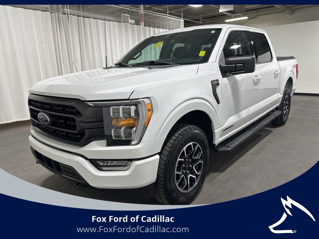 2023 Ford F-150 Truck 