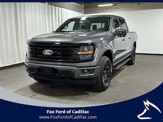 2025 Ford F-150 XLT Truck