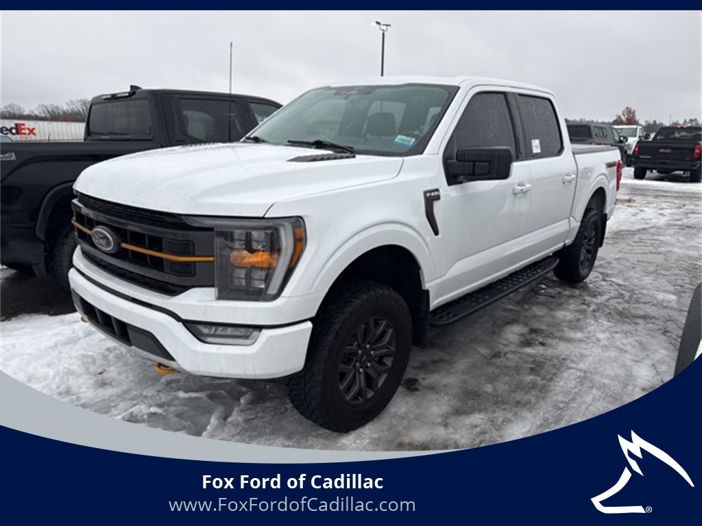 2023 Ford F-150 Tremor's photo