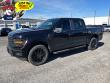 Used 2025 Ford F-150 STX Truck SuperCrew Cab