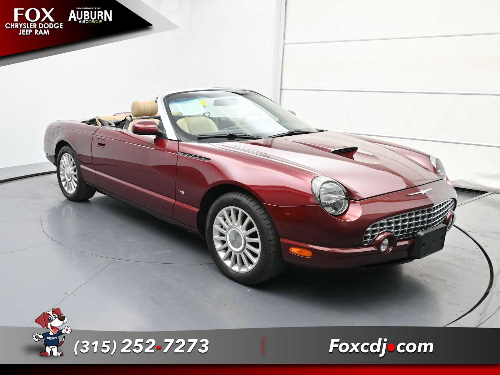 Used 2004 Ford Thunderbird Deluxe with VIN 1FAHP60AX4Y108939 for sale in Auburn, NY