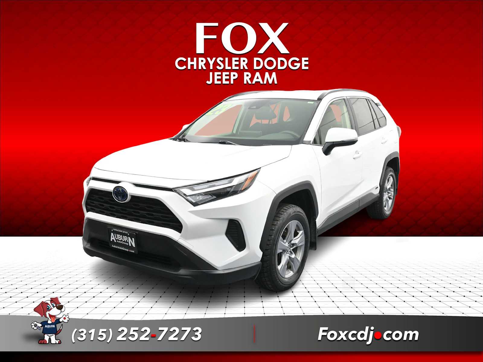 2023 Toyota RAV4 LE's photo