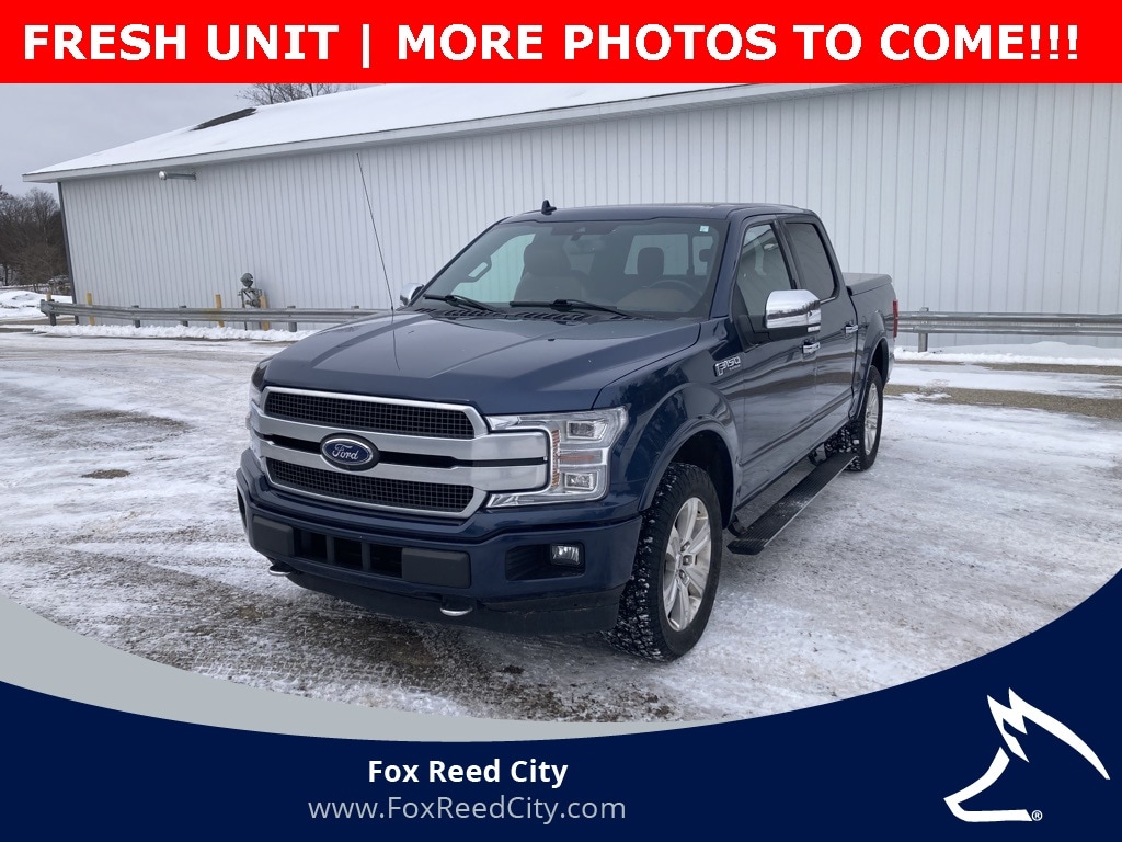 2020 Ford F-150 Platinum's photo