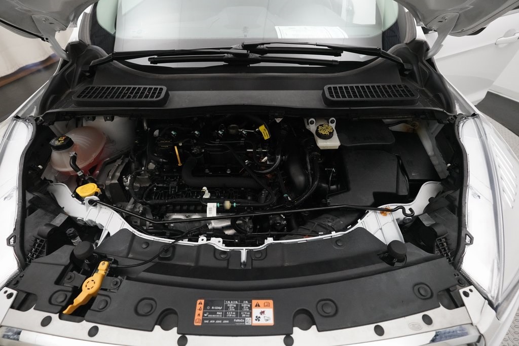 Used 2019 Ford Escape SE SUV