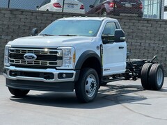 2025 Ford F-450 Chassis Truck Regular Cab