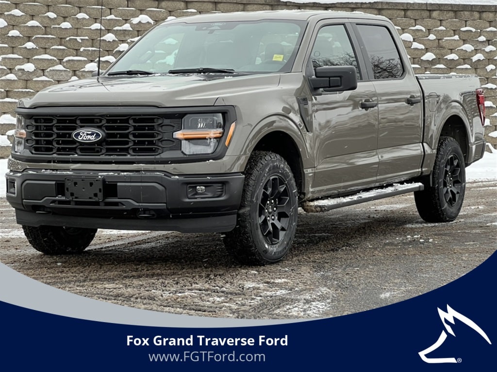 2025 Ford F-150 STX's photo