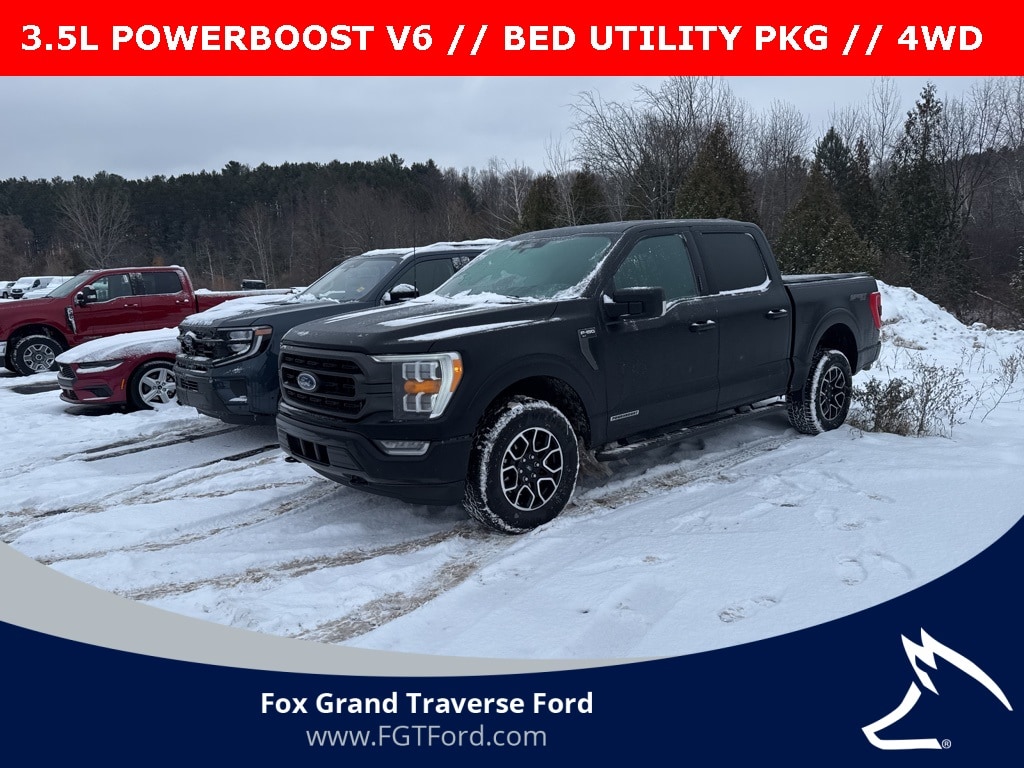2023 Ford F-150 XLT's photo