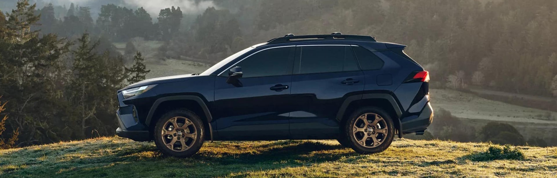 Toyota Hybrid Cars in Fox Lake, IL: What Are the Pros and Cons of Ownership?