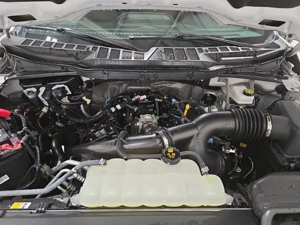 Used 2026 Ford F-150 XLT Truck