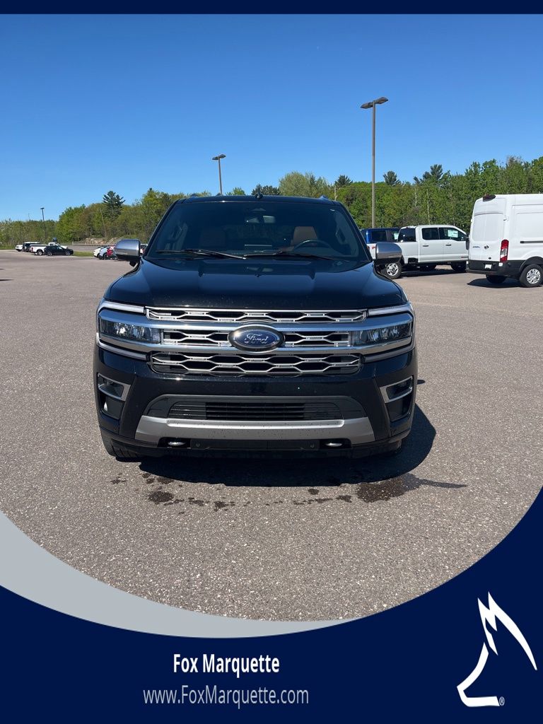 2022 Ford Expedition Platinum 4x4's photo